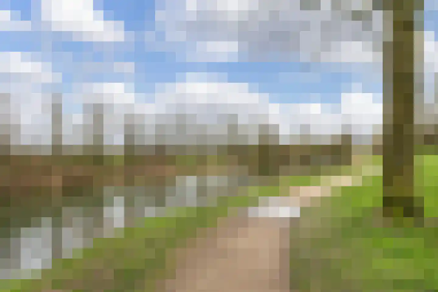 Kersengaard 13 Wijk bij Duurstede thumbnail 58