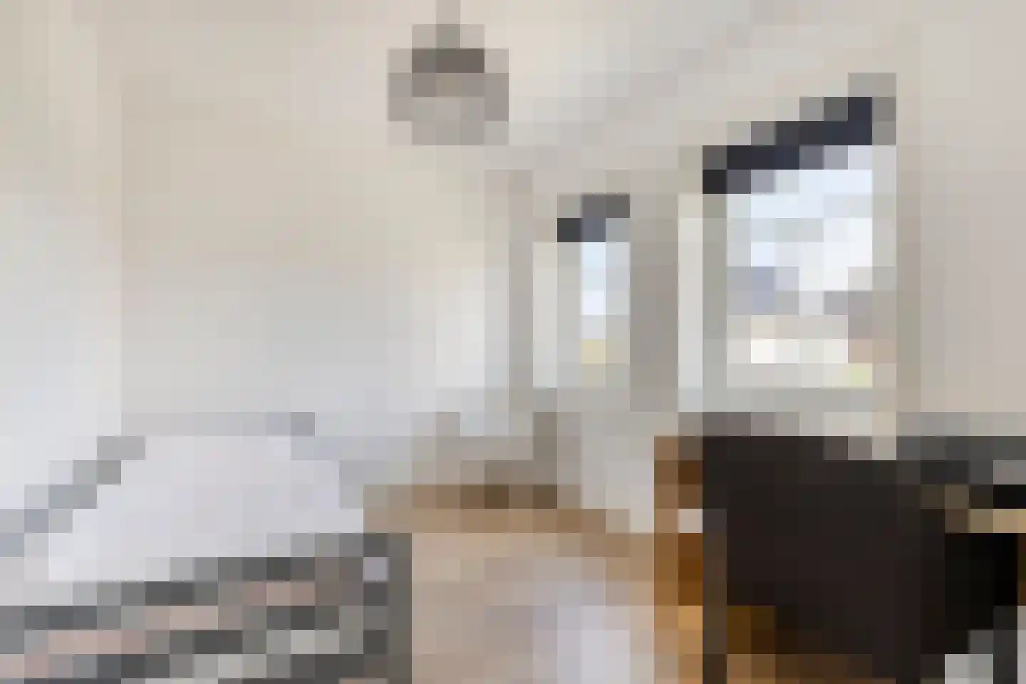 Kersengaard 2 De Goorn thumbnail 28