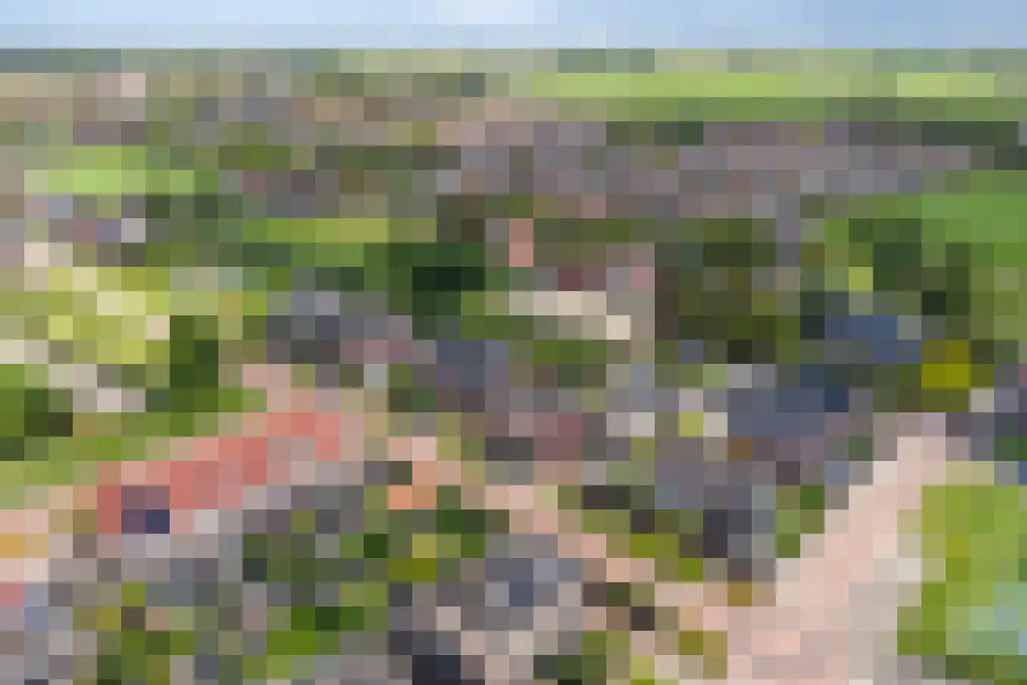 Kersengaard 2 De Goorn thumbnail 49