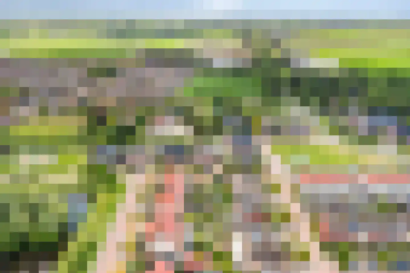 Kersengaard 2 De Goorn thumbnail 50