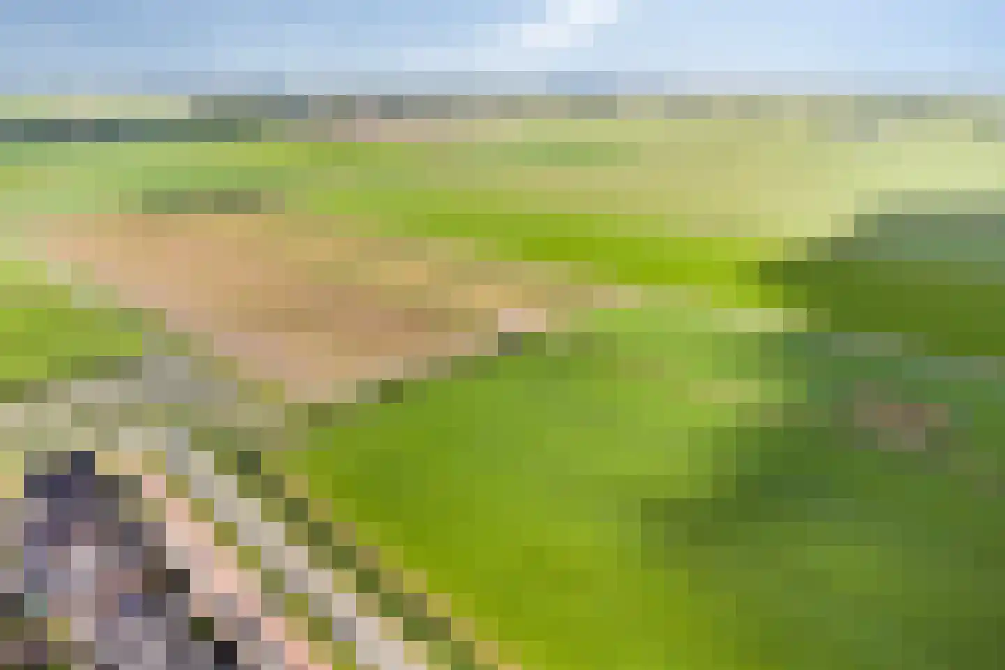 Kersengaard 2 De Goorn thumbnail 55