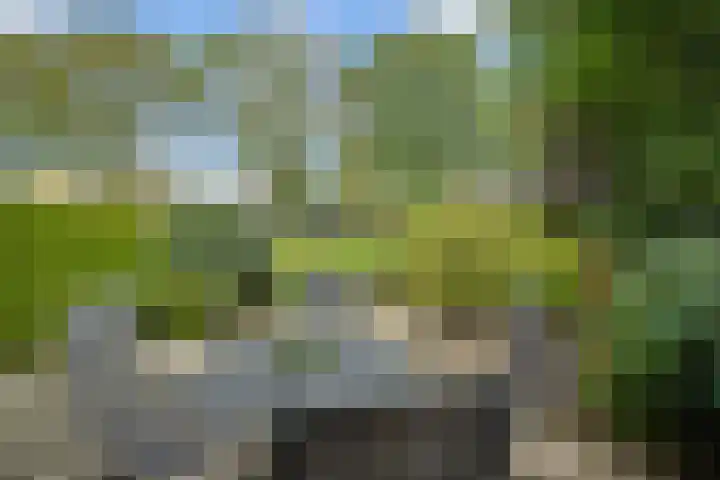 Kersengaard 49 Spijkenisse thumbnail 10