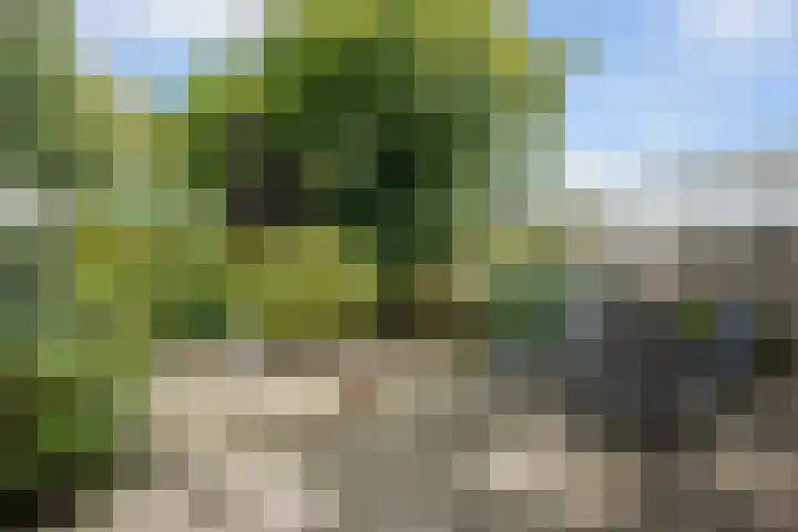 Kersengaard 49 Spijkenisse thumbnail 12
