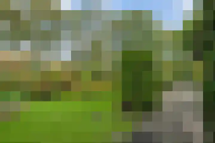 Kersengaard 49 Spijkenisse thumbnail 13