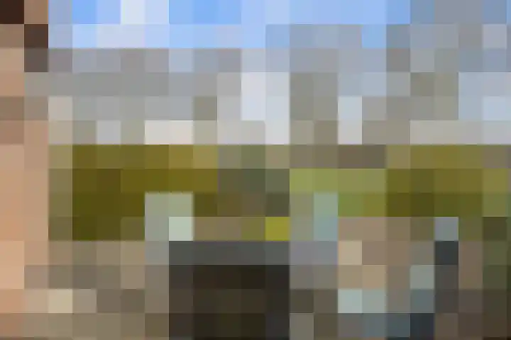 Kersengaard 49 Spijkenisse thumbnail 14