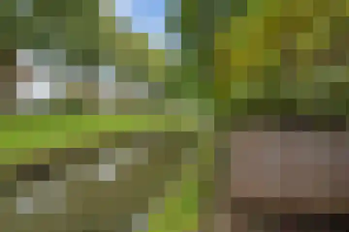 Kersengaard 49 Spijkenisse thumbnail 15