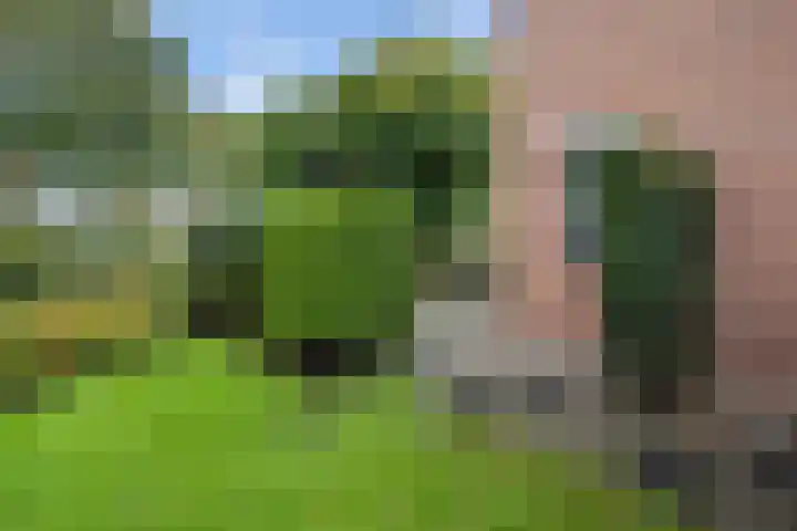 Kersengaard 49 Spijkenisse thumbnail 17