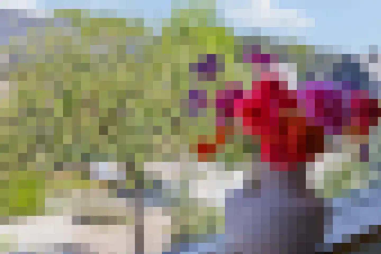 Kersengaard 8 Ochten thumbnail 28