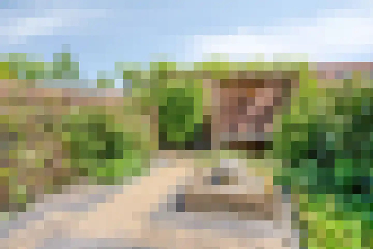Kersengaarde 1 Hendrik-Ido-Ambacht thumbnail 35