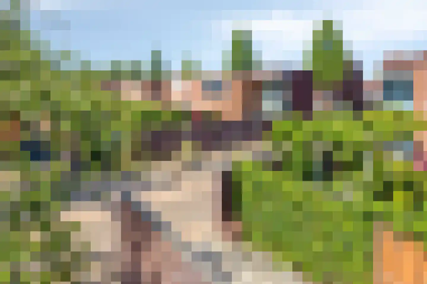 Kersengaarde 1 Hendrik-Ido-Ambacht thumbnail 38