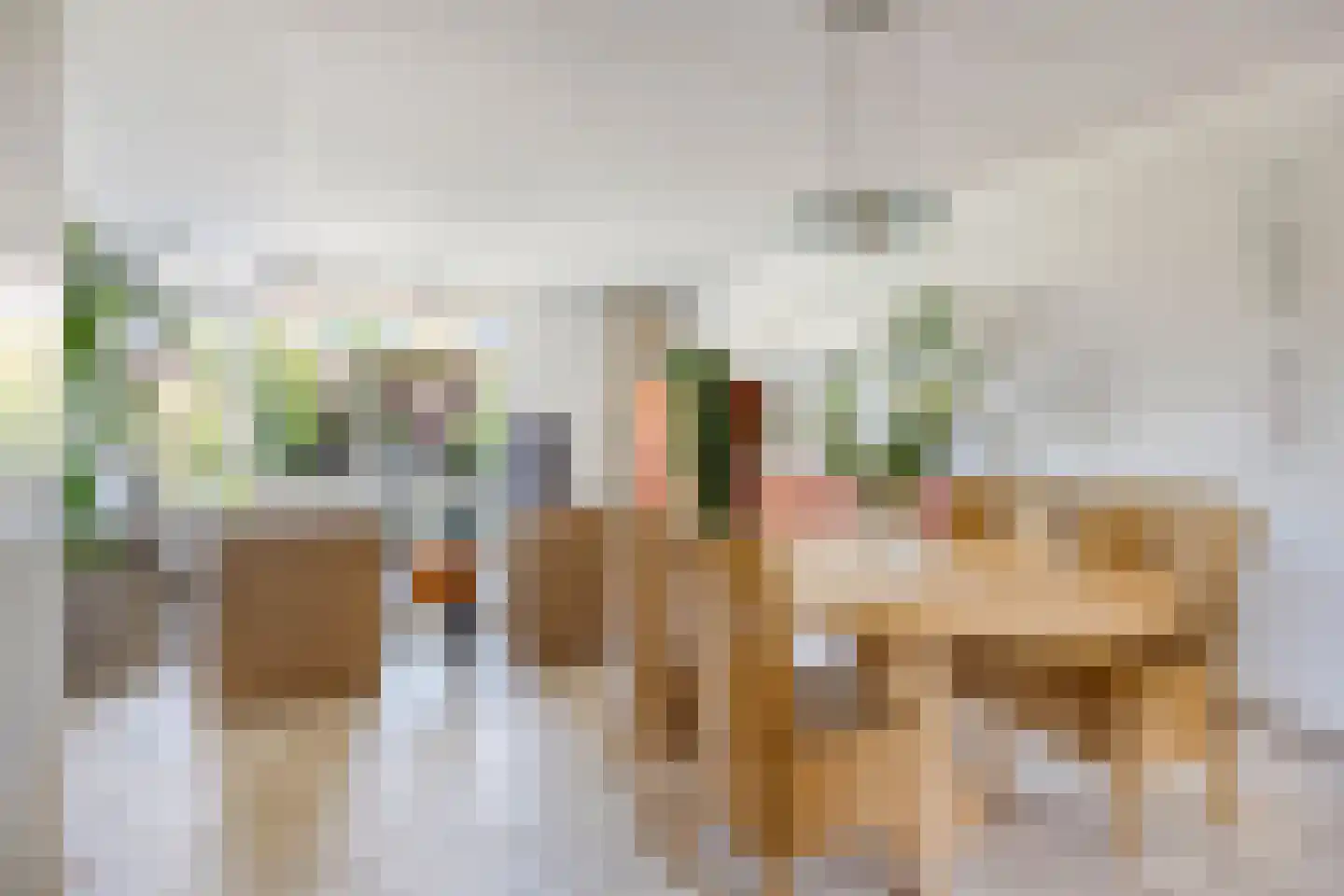 Kersengaarde 1 Hendrik-Ido-Ambacht thumbnail 8