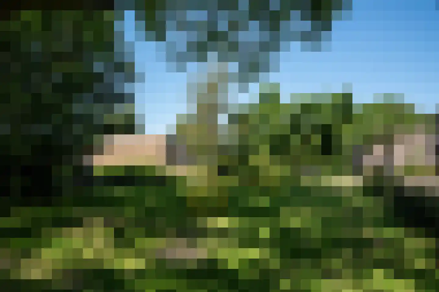 Kersengaarde 272 Voorburg thumbnail 18