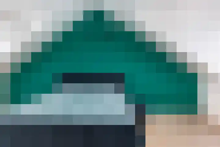 Kersenhof 10 Nieuw-Beijerland thumbnail 32