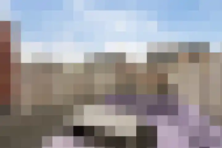 Kersenhof 10 Nieuw-Beijerland thumbnail 36