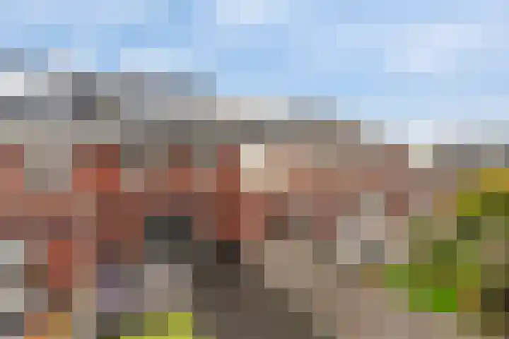 Kersenhof 10 Nieuw-Beijerland thumbnail 41