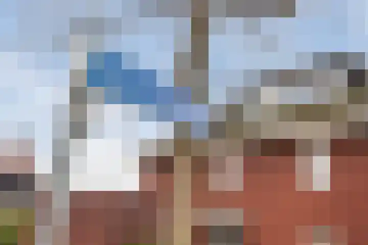 Kersenhof 10 Nieuw-Beijerland thumbnail 42