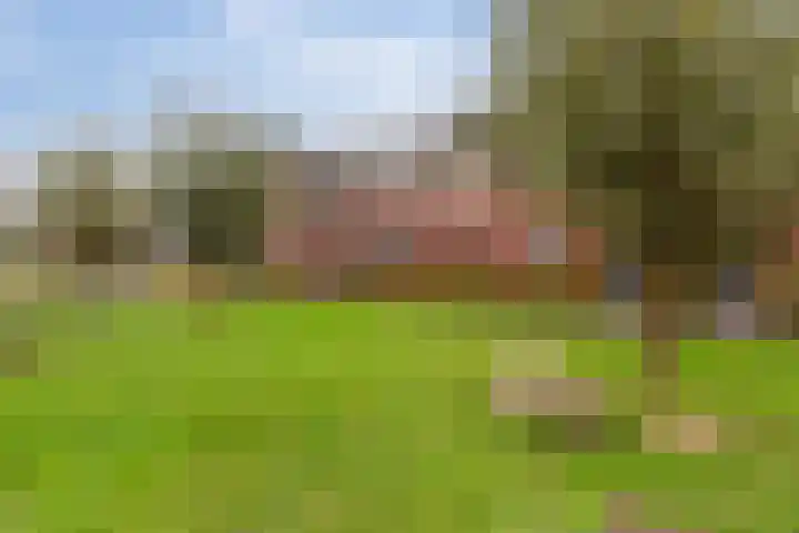 Kersenhof 10 Nieuw-Beijerland thumbnail 43