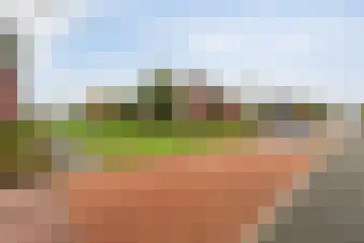 Kersenhof 10 Nieuw-Beijerland thumbnail 45