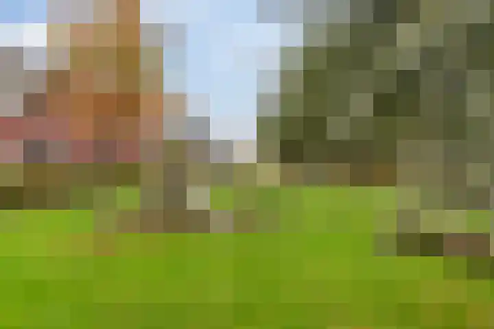 Kersenhof 10 Nieuw-Beijerland thumbnail 46