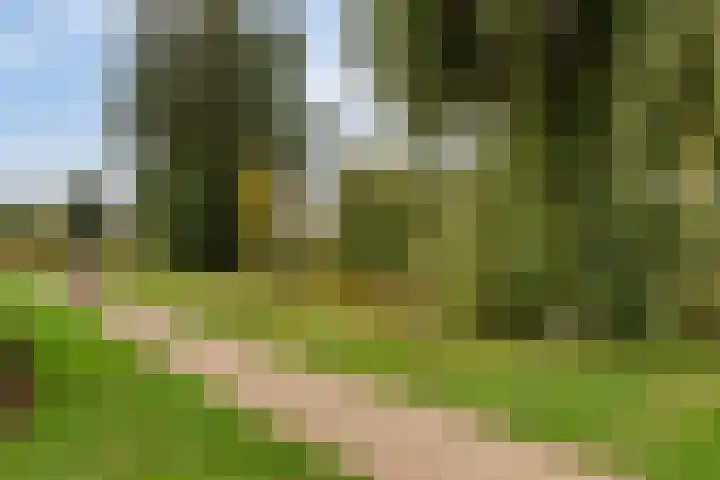Kersenhof 10 Nieuw-Beijerland thumbnail 47