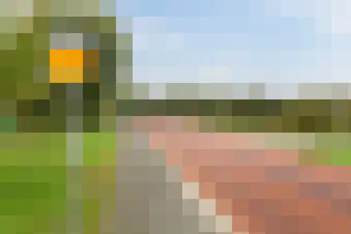 Kersenhof 10 Nieuw-Beijerland thumbnail 49