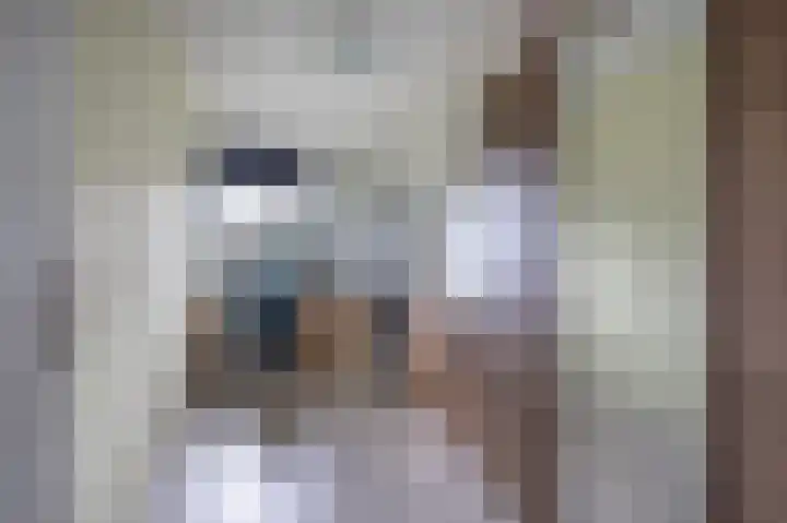 Kersenhof 17 Assen thumbnail 21