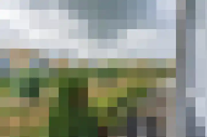 Kersenhof 17 Assen thumbnail 23