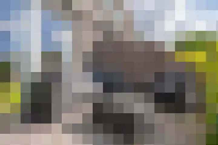 Kersenhof 17 Assen thumbnail 24
