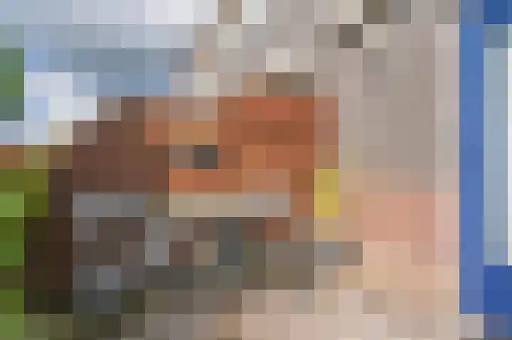 Kersenhof 17 Assen thumbnail 25