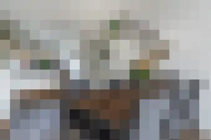 Kersenhof 17 Assen thumbnail 9