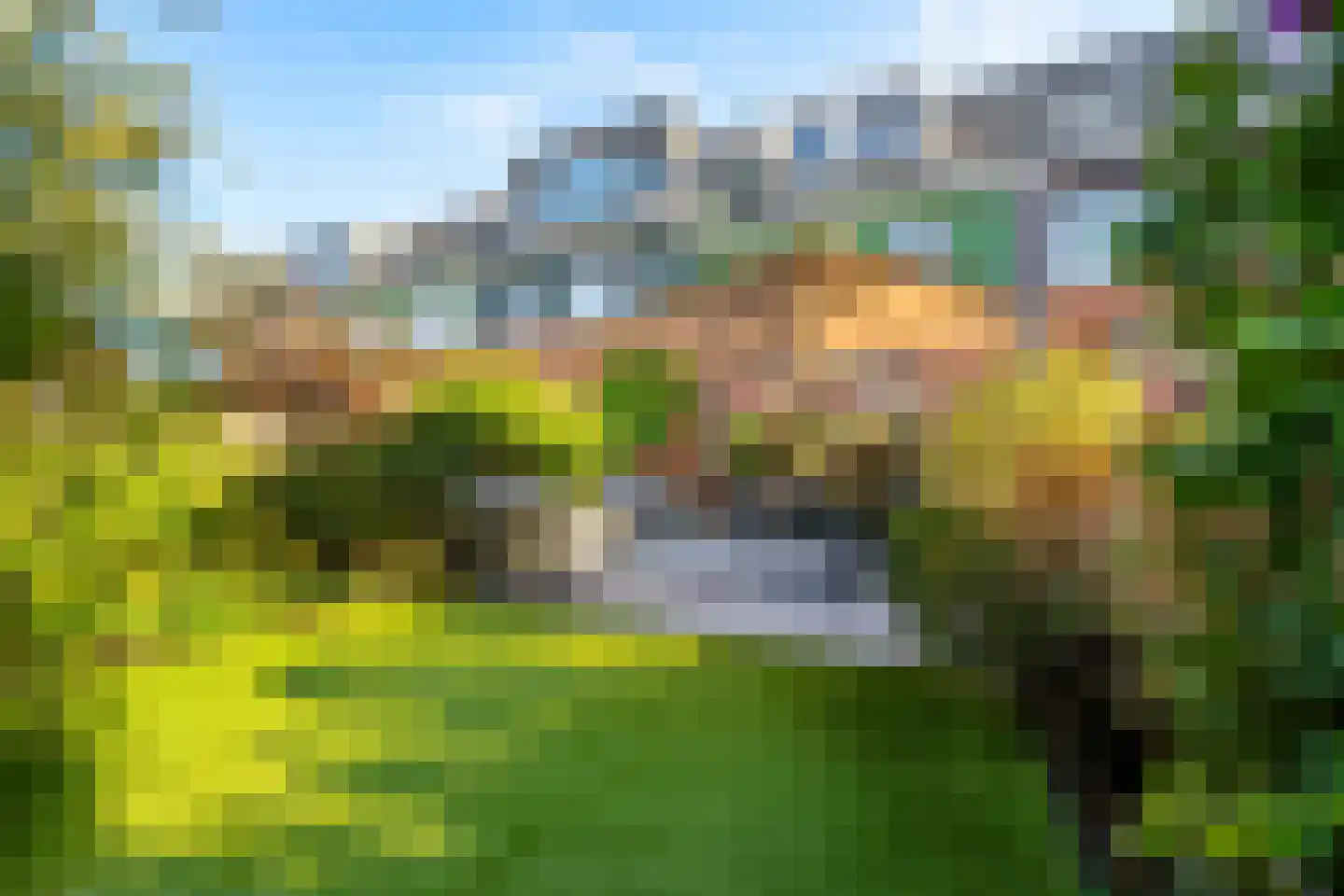 Kersenhout 31 Zaandam thumbnail 16