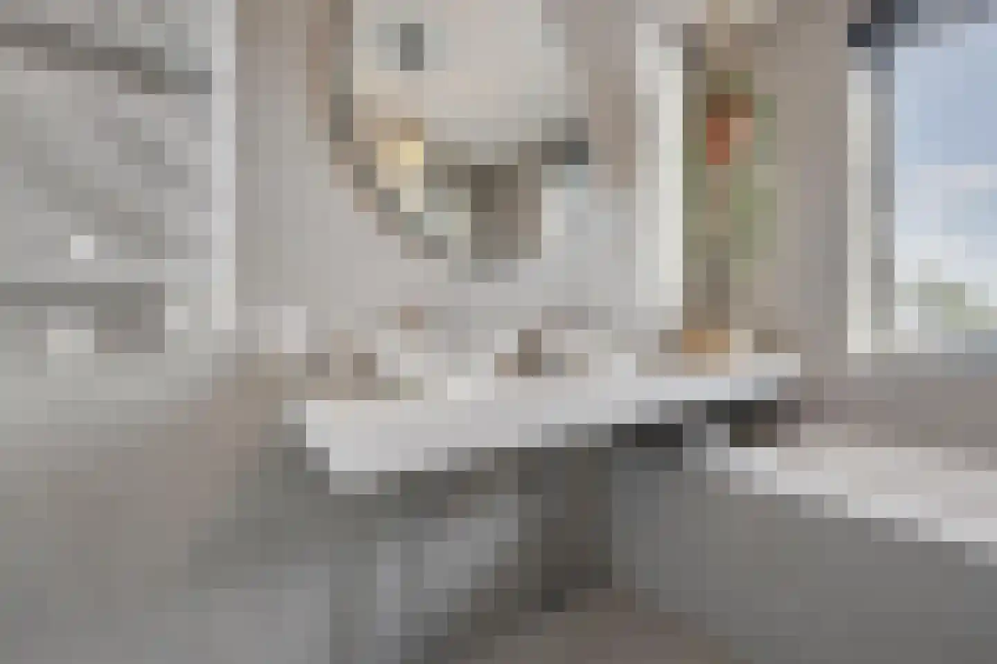 Kersenhout 31 Zaandam thumbnail 23