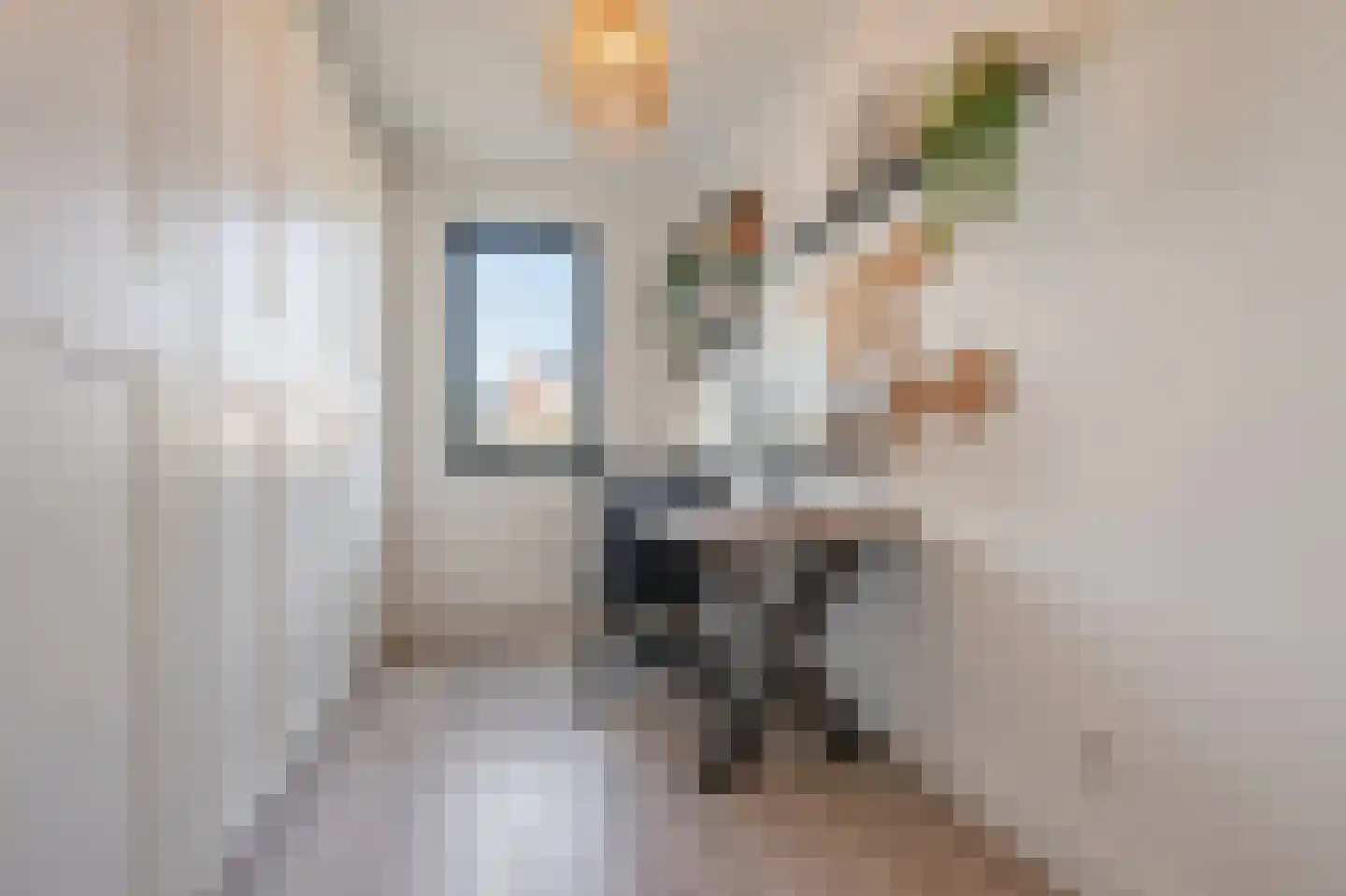 Kersenhout 31 Zaandam thumbnail 29