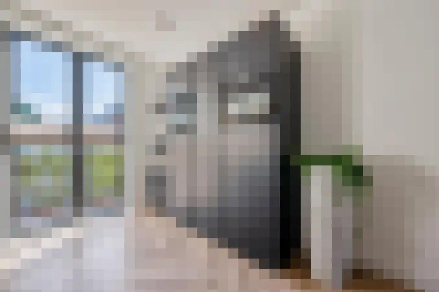 Kersenhout 31 Zaandam thumbnail 9