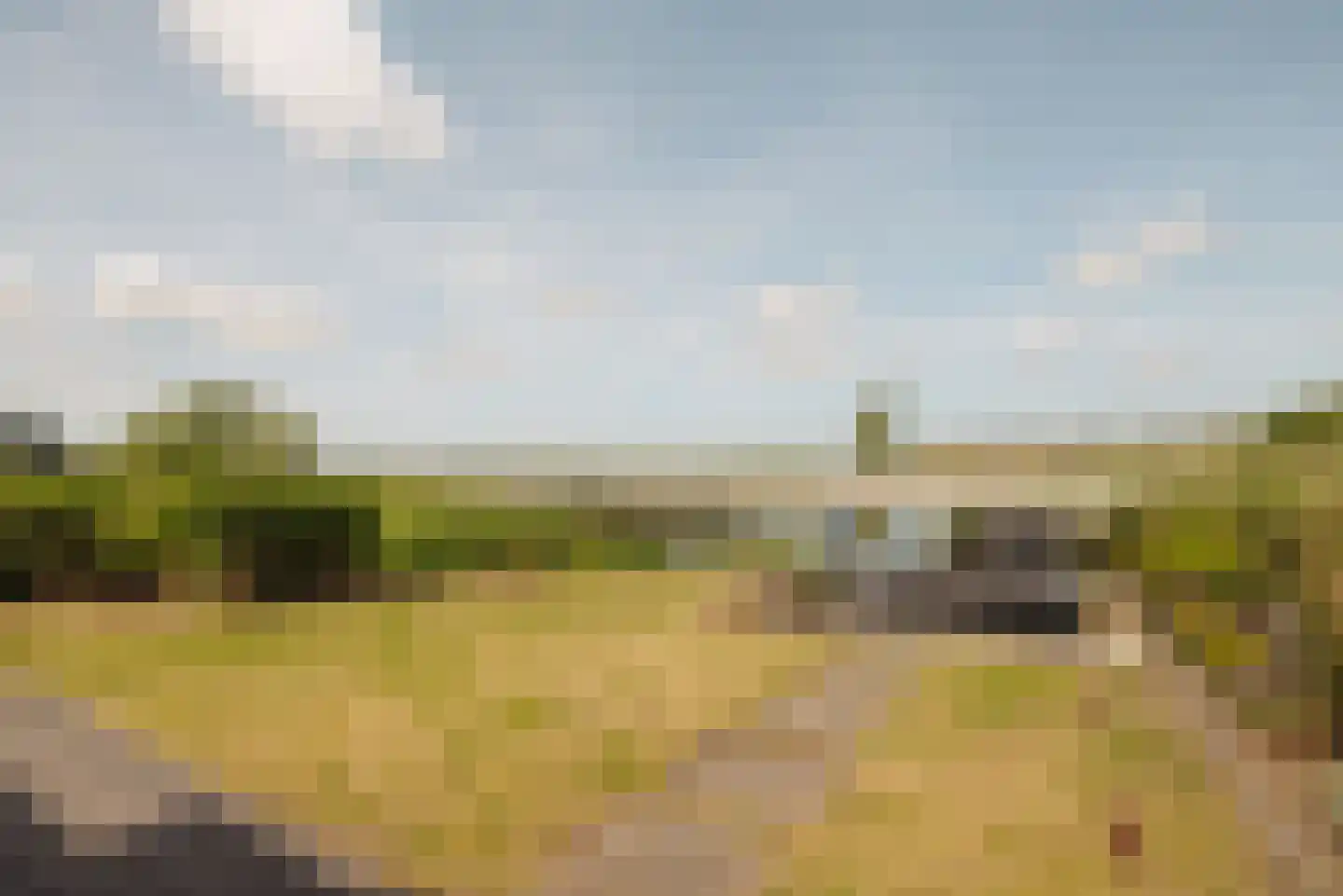 Kersenhout 32 Zaandam thumbnail 10