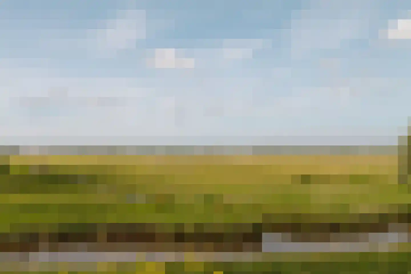 Kersenhout 32 Zaandam thumbnail 11