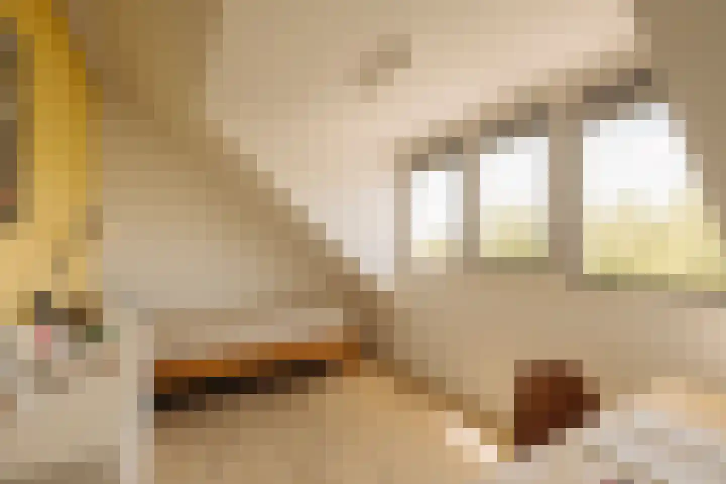 Kersenhout 32 Zaandam thumbnail 36