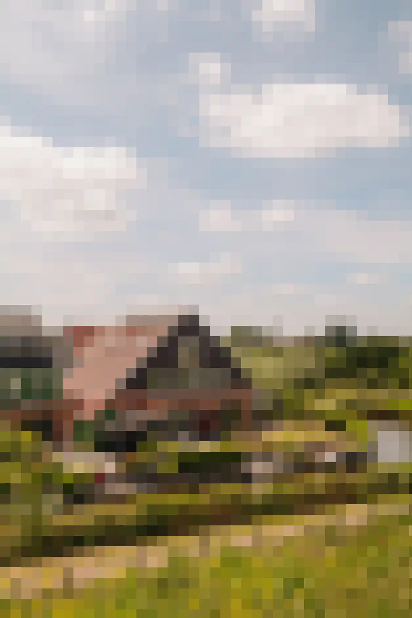 Kersenhout 32 Zaandam thumbnail 8