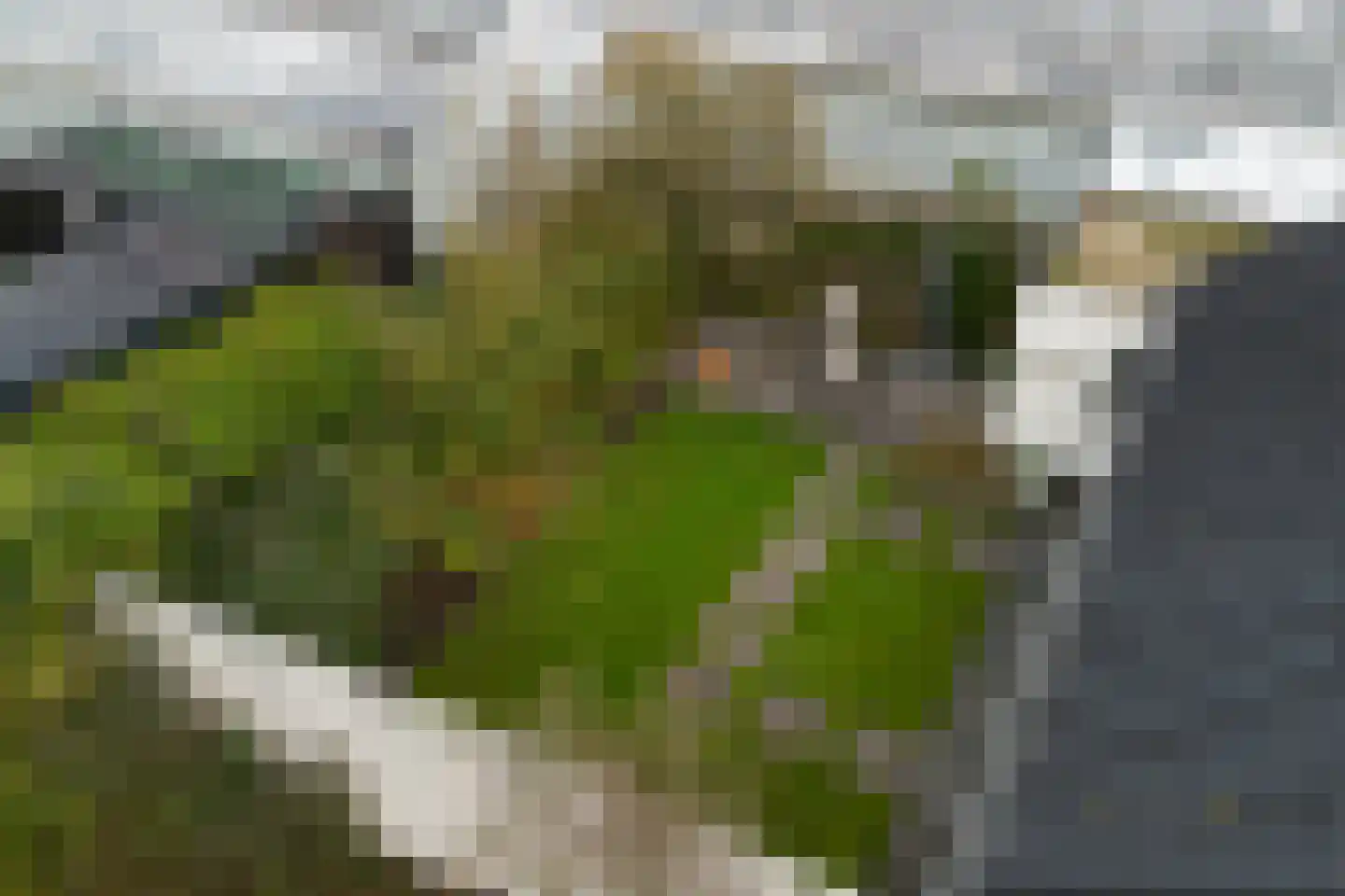 Kersenlaan 1 's-Gravenzande thumbnail 68