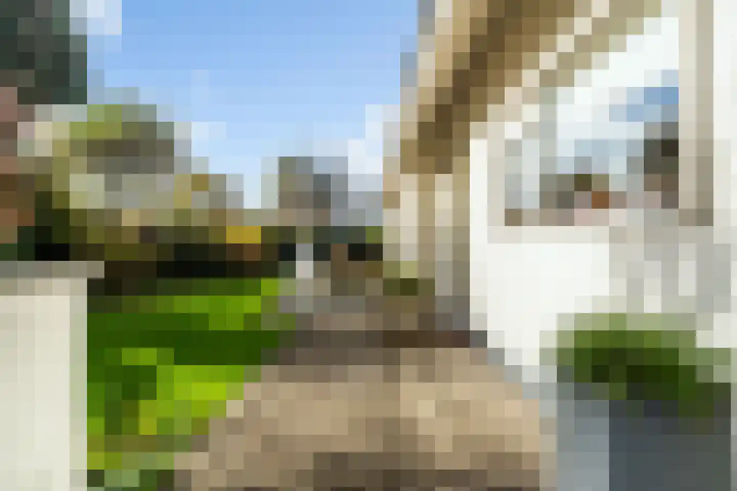Kersenlaan 1 's-Gravenzande thumbnail 9