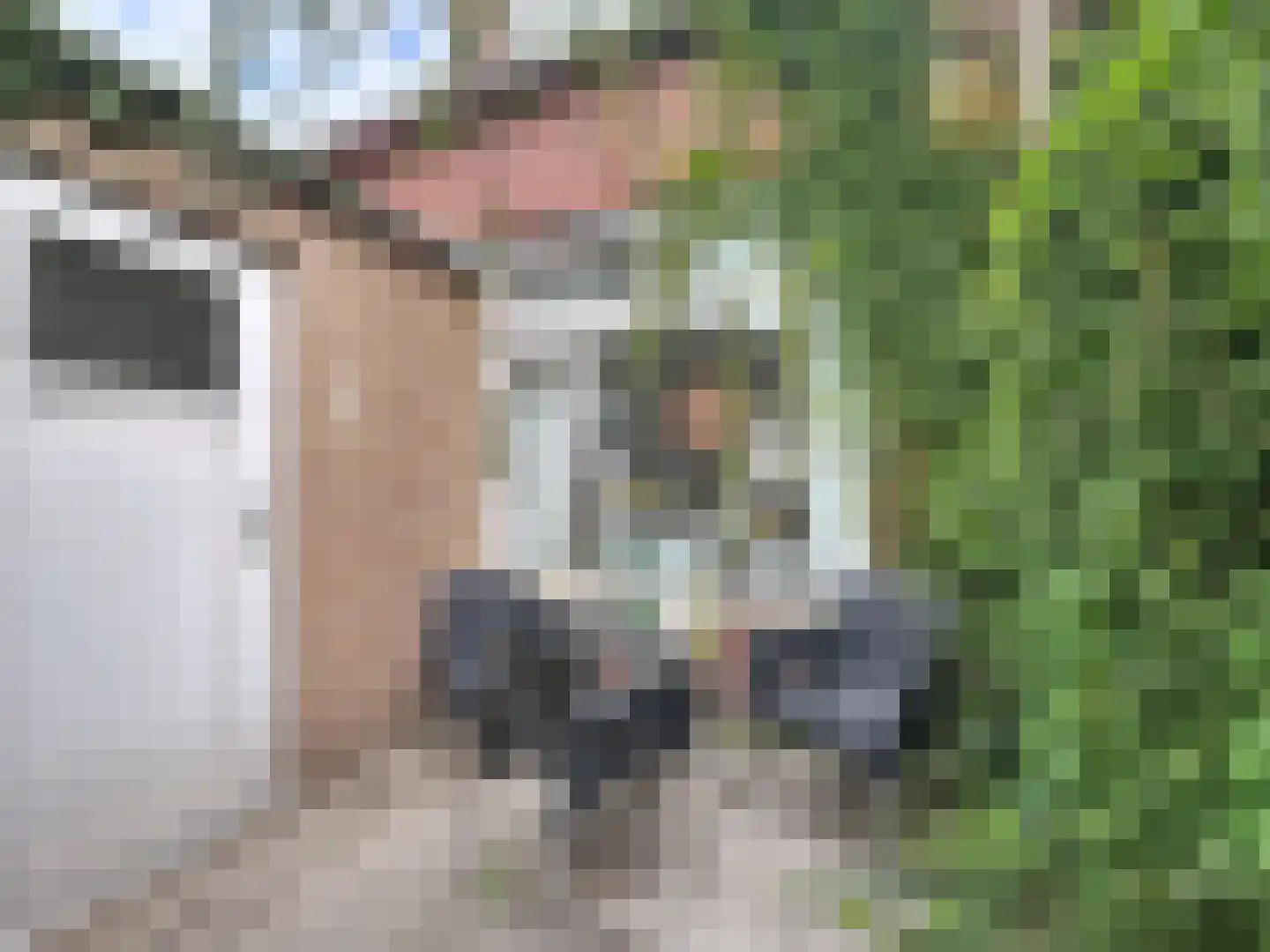 Kersenlaan 12 Hoofdplaat thumbnail 17