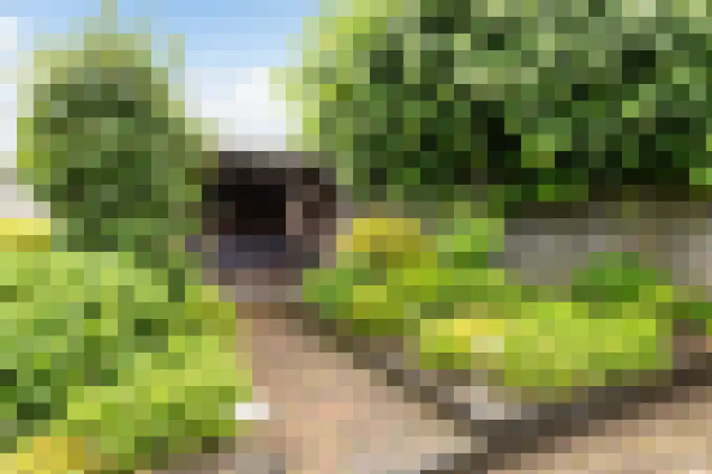 Kersenlaan 16 Apeldoorn thumbnail 33