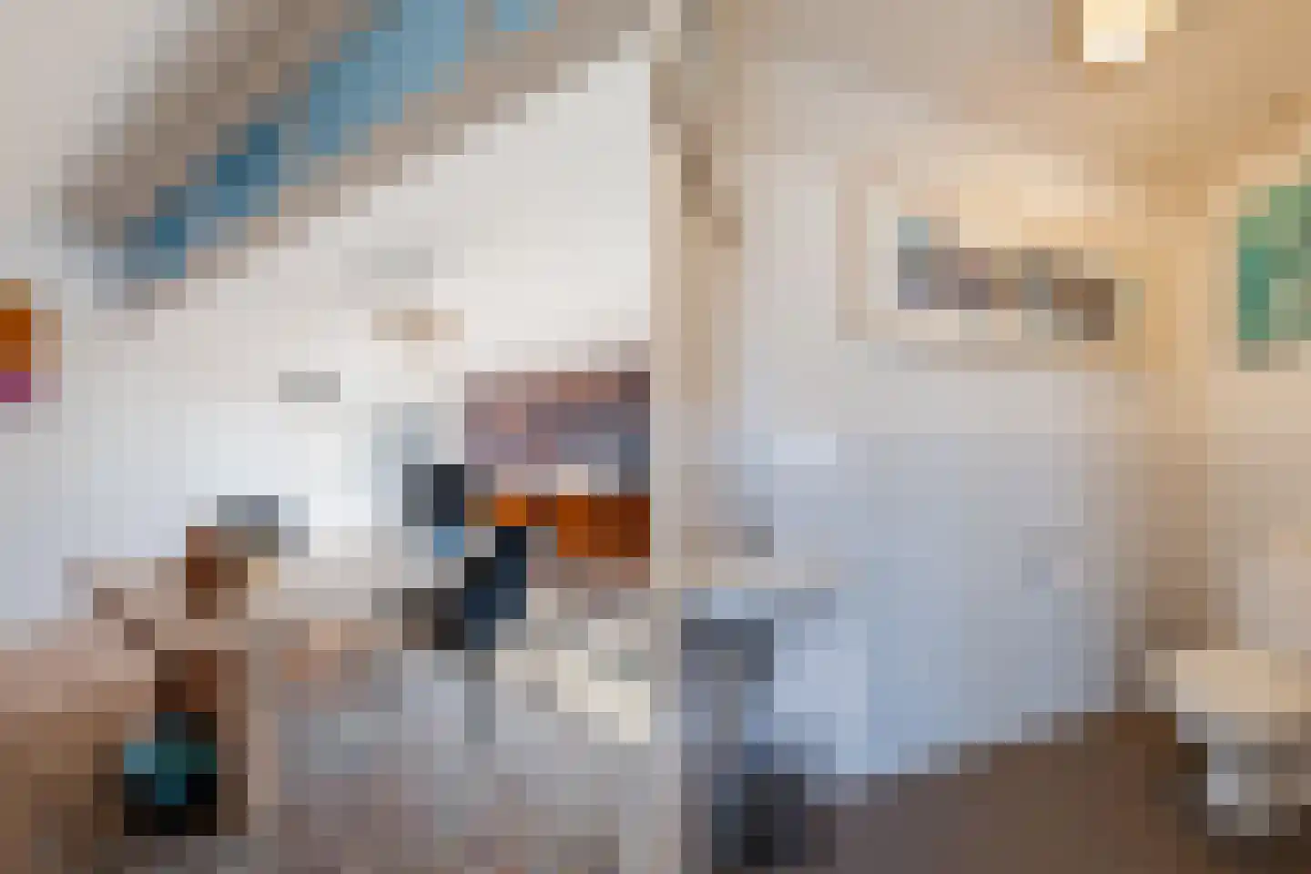 Kersenlaan 18 Loppersum thumbnail 20