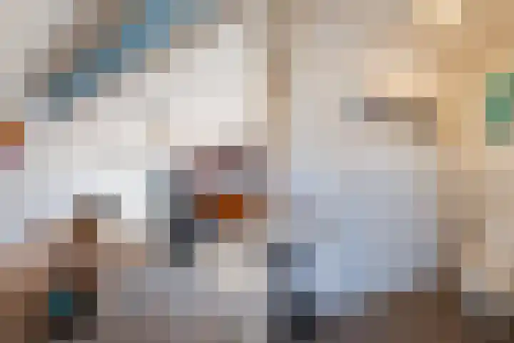 Kersenlaan 18 Loppersum thumbnail 20