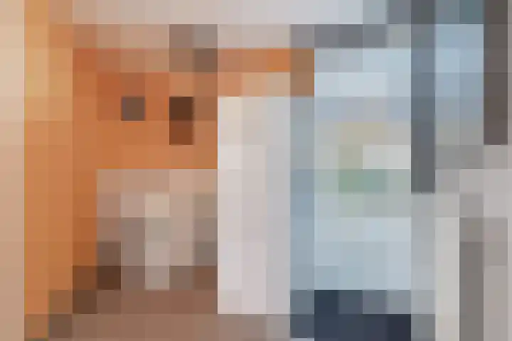 Kersenlaan 18 Loppersum thumbnail 22