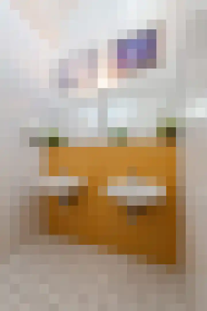 Kersenlaan 18 Loppersum thumbnail 38