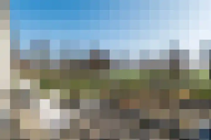 Kersenlaan 18 Loppersum thumbnail 41