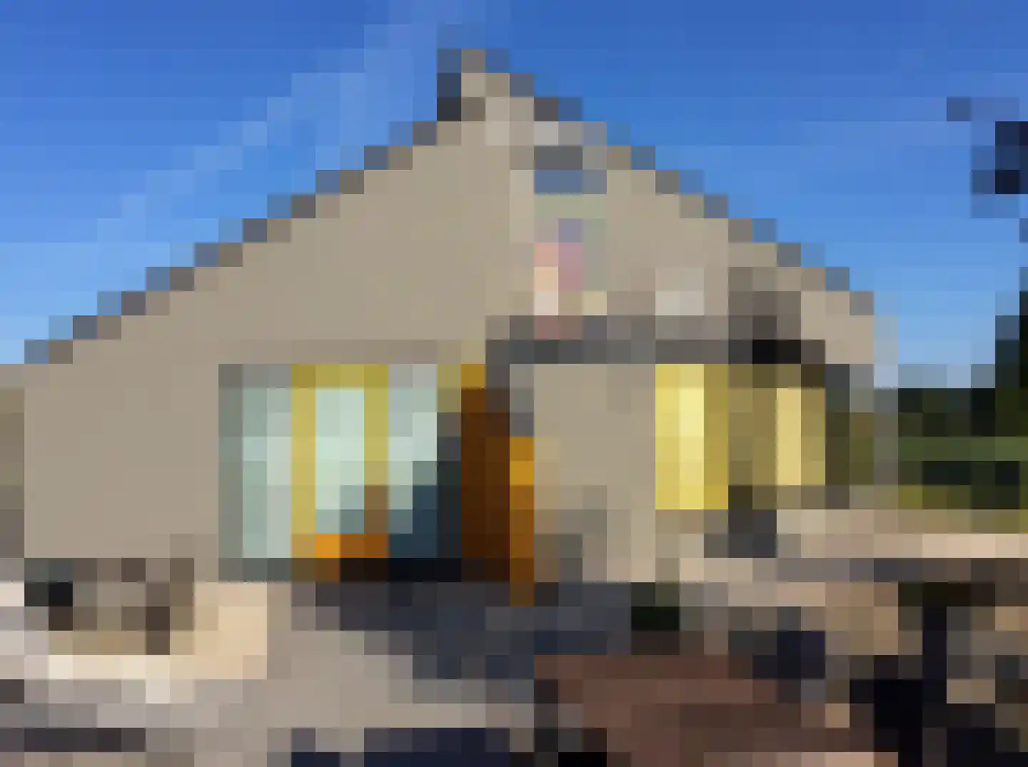 Kersenlaan 18 Loppersum thumbnail 47
