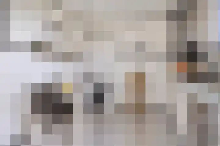 Kersenlaan 21 Hoofdplaat thumbnail 10