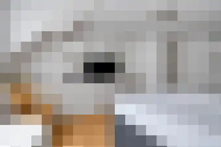 Kersenlaan 21 Hoofdplaat thumbnail 16